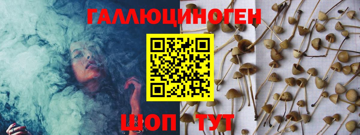Псилоцибиновые грибы Psilocybe  наркота  Псилоцибиновые грибы Psilocybe  Кемерово  Вход с VPN 